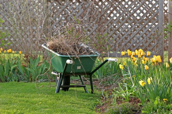 Flower Bed Cleanup Service in Warwick