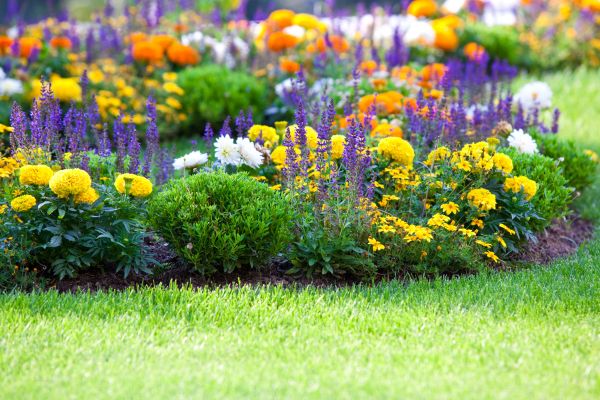 Flower Bed Maintenance in Warwick