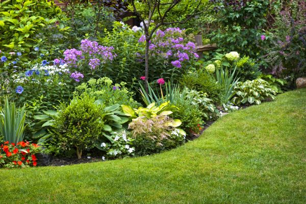 Flower Bed Service in Warwick