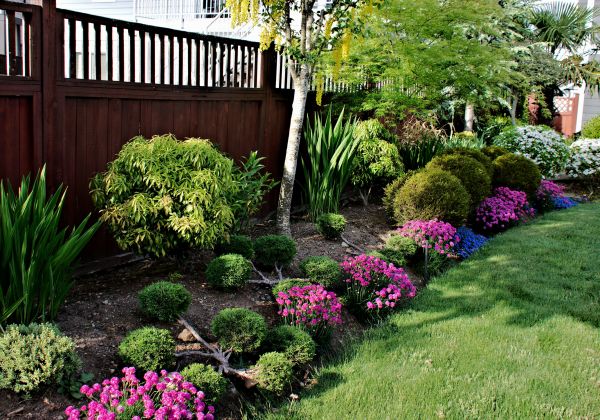 Garden Care Service in Warwick
