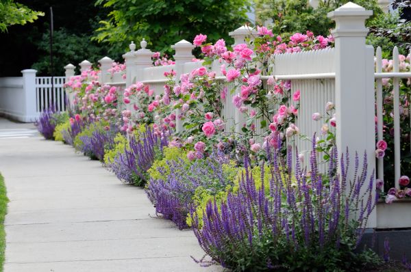 Garden Handyman Service in Warwick