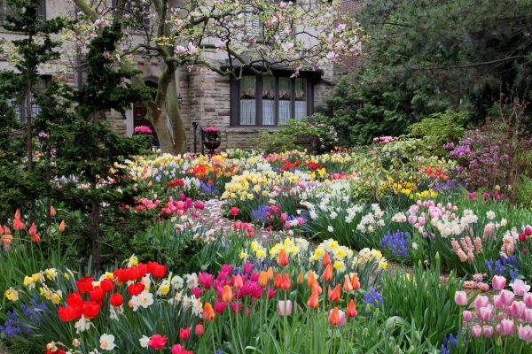 Garden Maintenance Service in Warwick