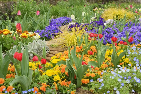 Garden Renovation in Warwick