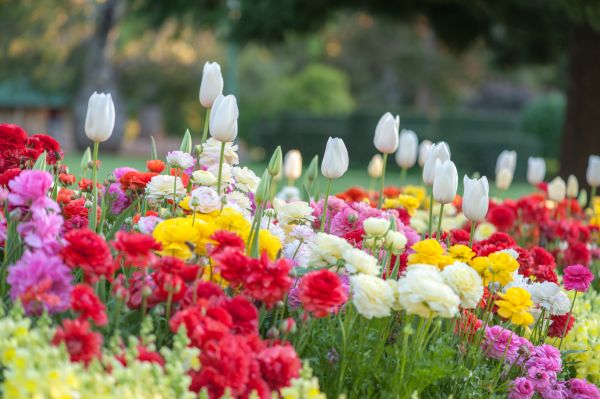 Gardening Service in Warwick