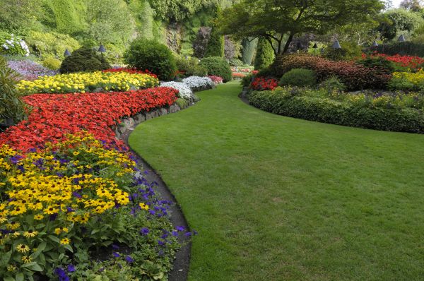 Landscaping Maintenance in Warwick