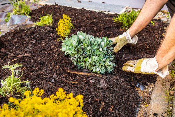 Weeding And Mulching in Warwick