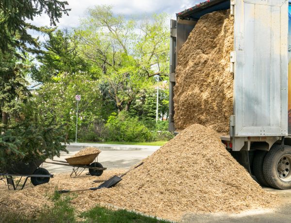 Wood Chips Delivery in Warwick
