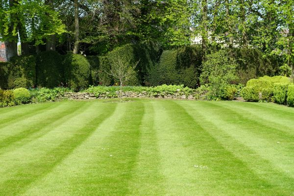 Lawn Renovation in Warwick