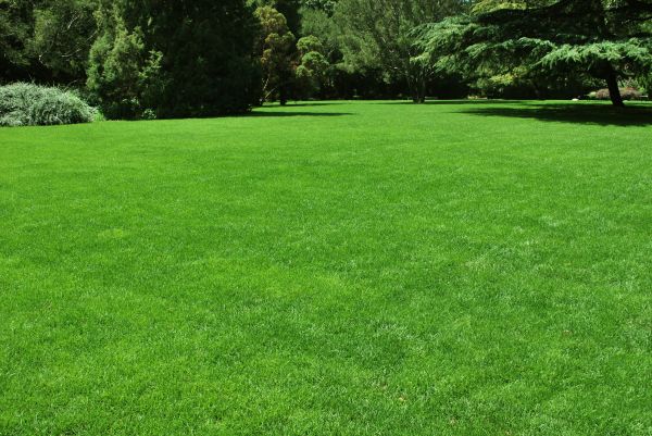Lawn Landscaping in Warwick
