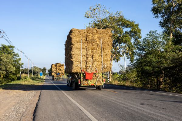Pine Straw Delivery in Warwick