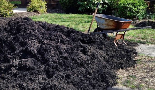 Black Mulch Delivery in Warwick