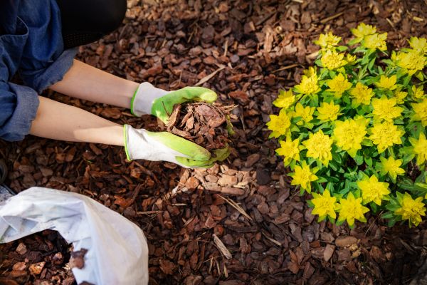 Garden Mulching in Warwick