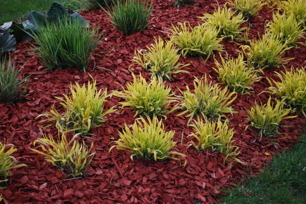 Mulch Landscaping in Warwick