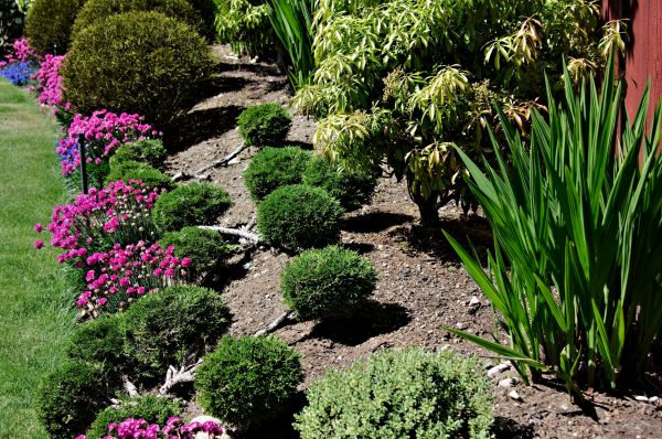Residential Gardening in Warwick