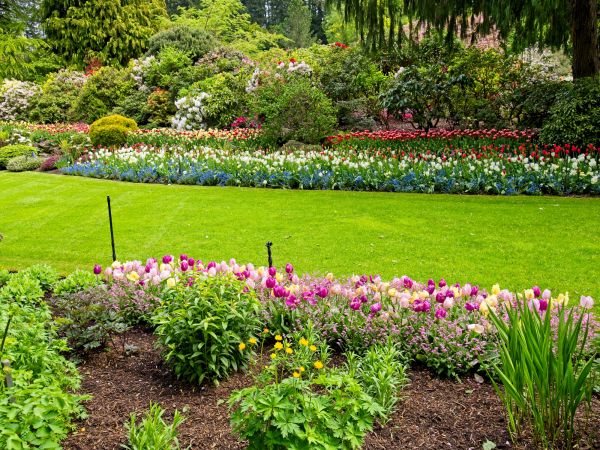 Residential Landscape Design in Warwick