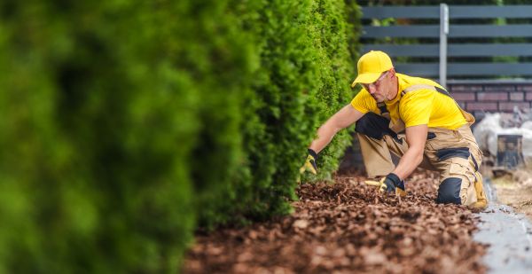 Cypress Mulch Installation in Warwick