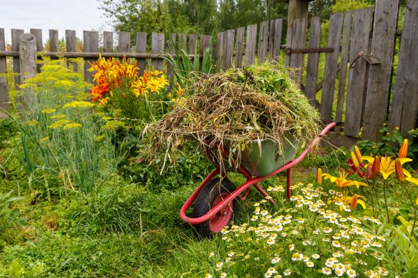 Garden Cleanup Service in Warwick