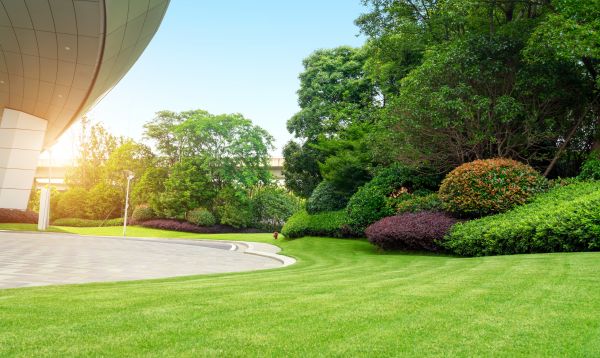 Business Landscape Design in Warwick