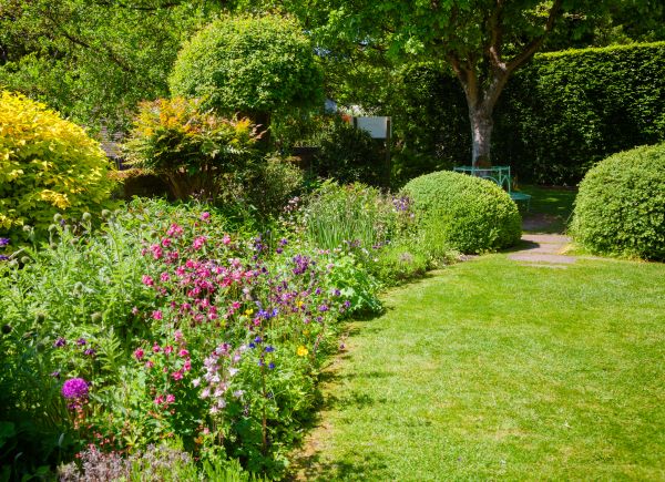 Yard Landscaping Service in Warwick