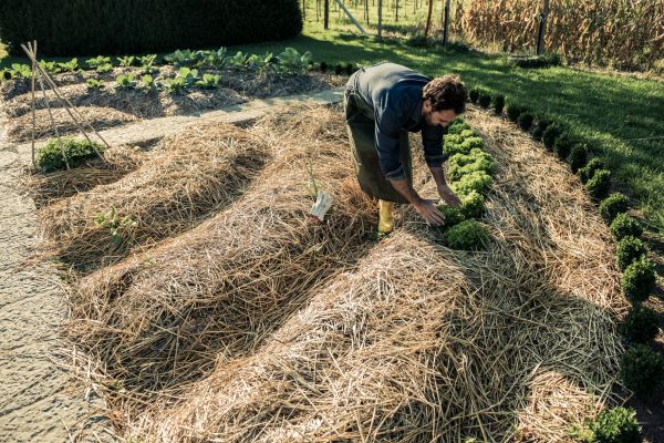 Straw Mulching Service in Warwick