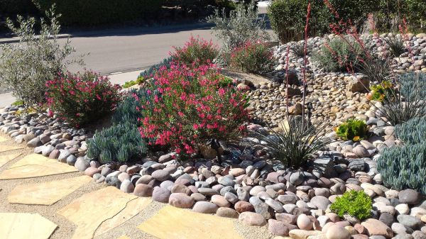 Xeriscape Landscaping in Warwick