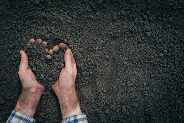 Soil Installation in Warwick