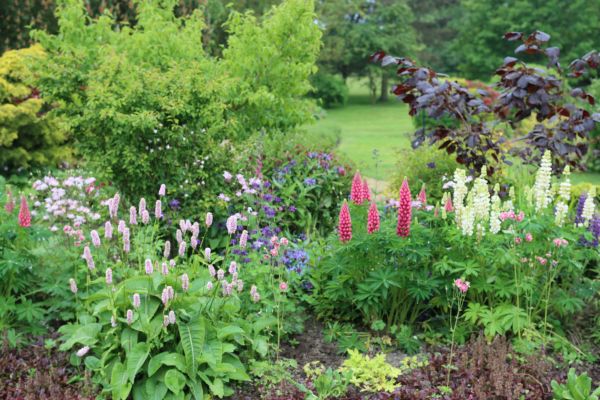 Flower Bed Planting in Warwick