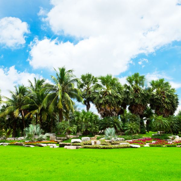 Tropical Landscaping in Warwick