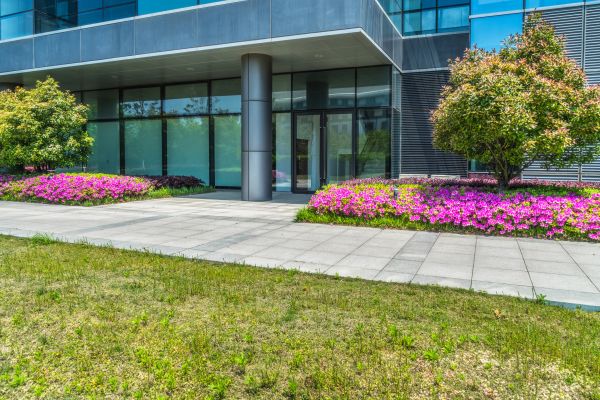 Commercial Gardening in Warwick