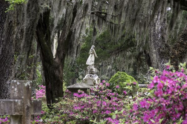 Cemetery Landscaping in Warwick