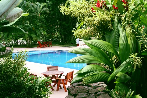 Tropical Garden Landscaping in Warwick