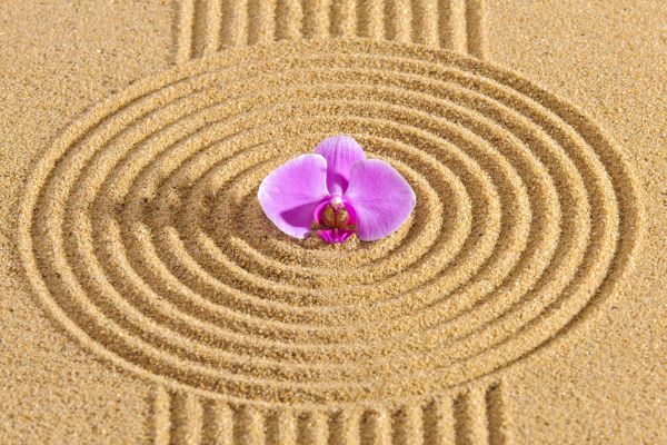 Sand Garden Landscaping in Warwick