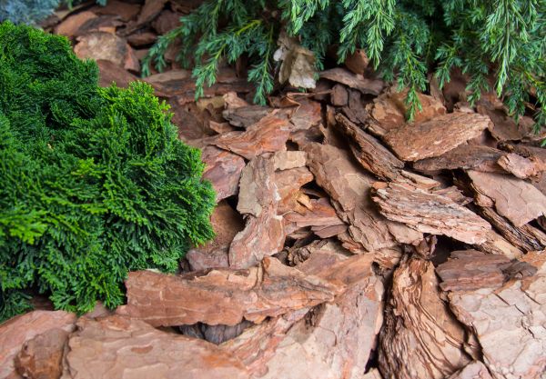 Pine Bark Installation in Warwick