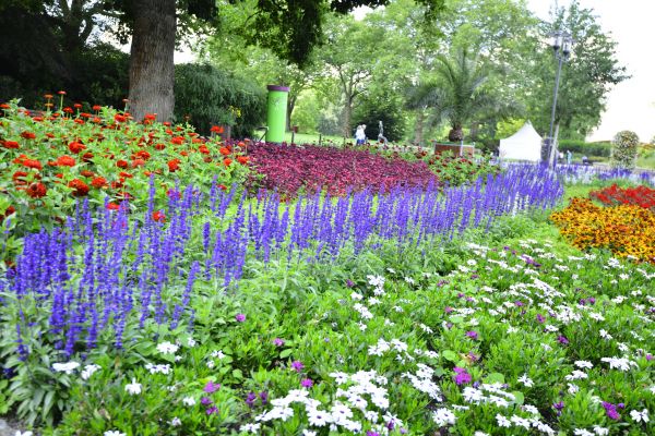 Perennials Planting in Warwick