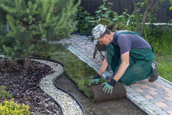 Landscaping Modification in Warwick
