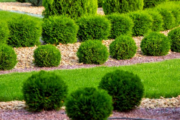 Bush Installation in Warwick