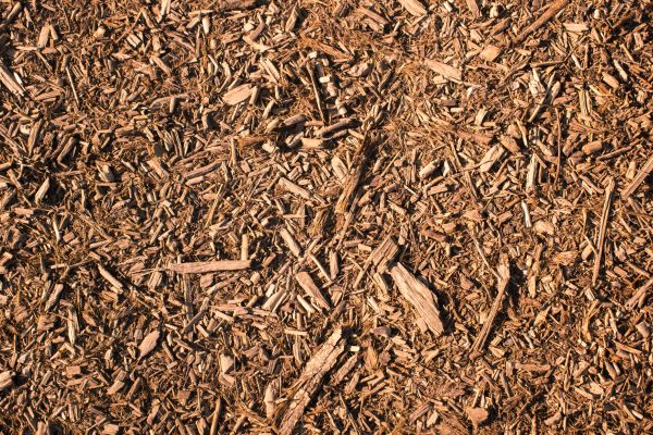 Wood Chips Removal in Warwick