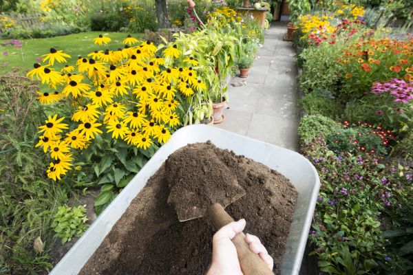 Topsoil Replacement in Warwick