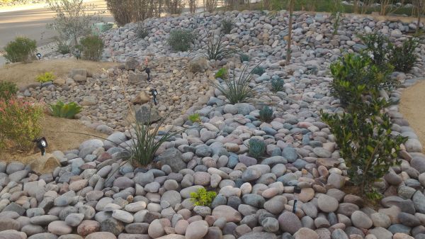Yard Xeriscaping in Warwick
