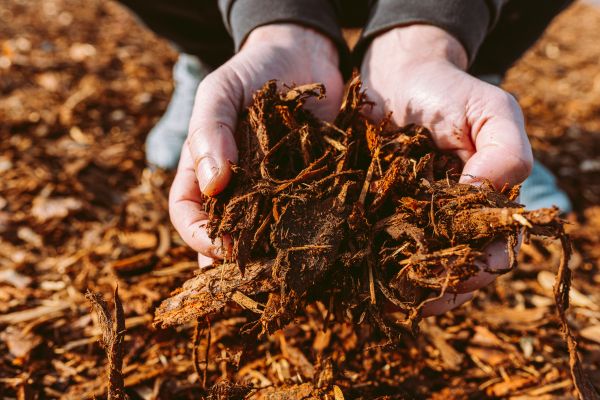 Bark Chips Delivery in Warwick