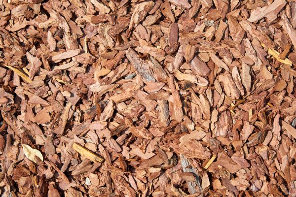 Pine Mulch Spreading in Warwick