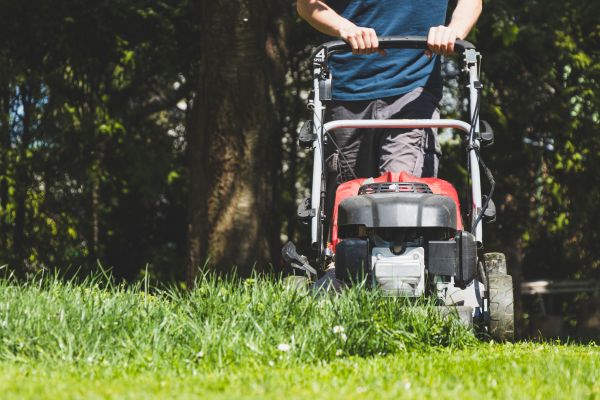 Garden Trimming Service in Warwick