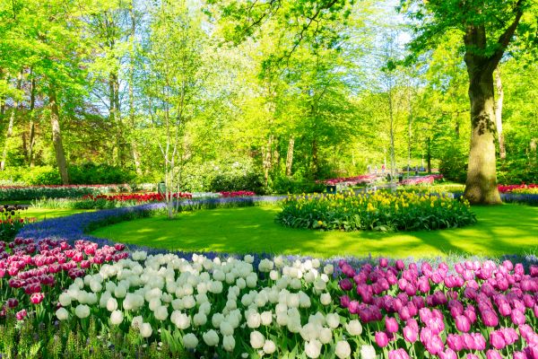Flower Landscaping in Warwick