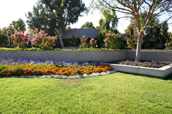 Commercial Landscape Service in Warwick