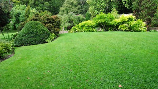 Commercial Landscape Design in Warwick