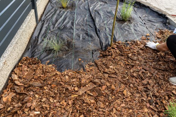 Pine Bark Spreading in Warwick