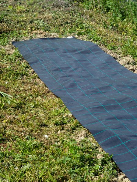Weed Suppressant Installation in Warwick