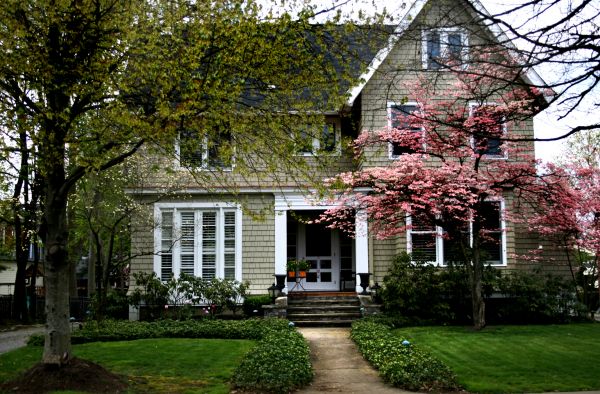 Ornamental Tree Planting in Warwick