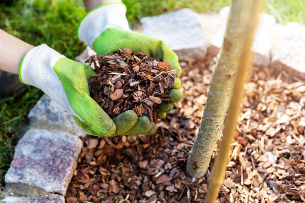 Tree Bark Delivery in Warwick