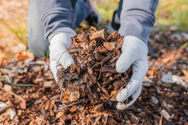 Shredded Mulch Installation in Warwick
